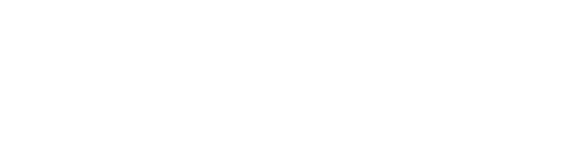 Next Consulting